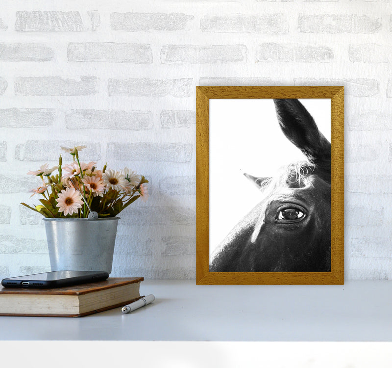 Eye of the beholder Photography Print by Victoria Frost A4 Print Only