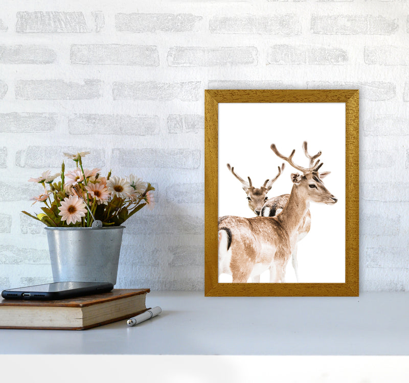 Deers II Photography Print by Victoria Frost A4 Print Only