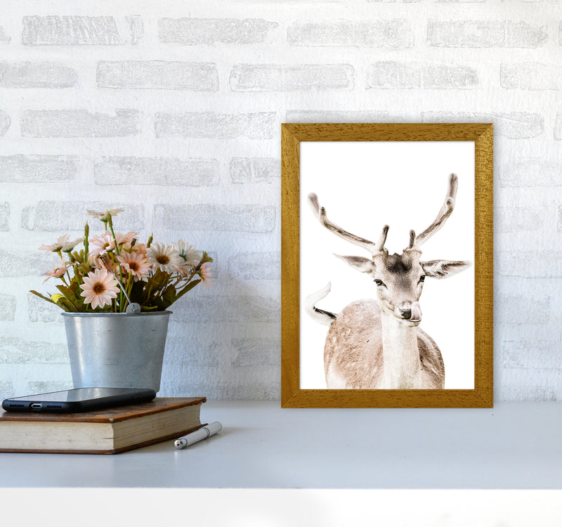 Deer I Photography Print by Victoria Frost A4 Print Only