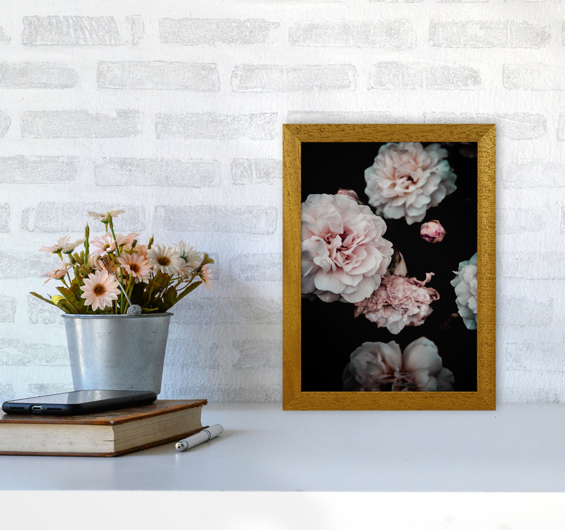 Crisp Pink Photography Print by Victoria Frost A4 Print Only