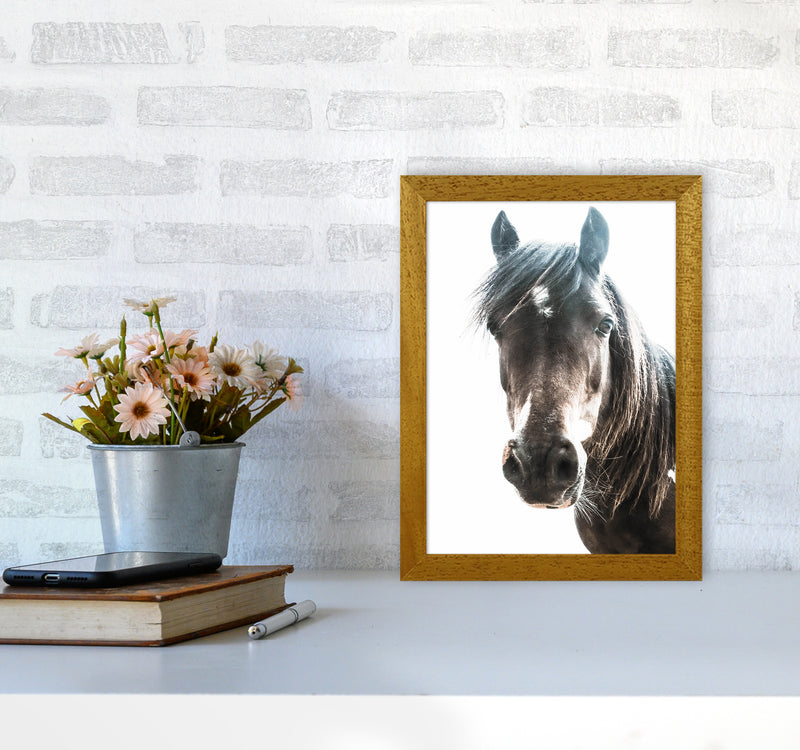 Brown Horse Photography Print by Victoria Frost A4 Print Only