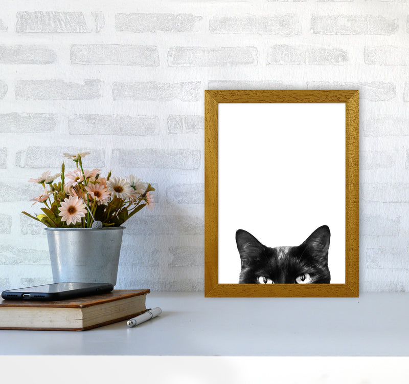 Black Cat Photography Print by Victoria Frost A4 Print Only