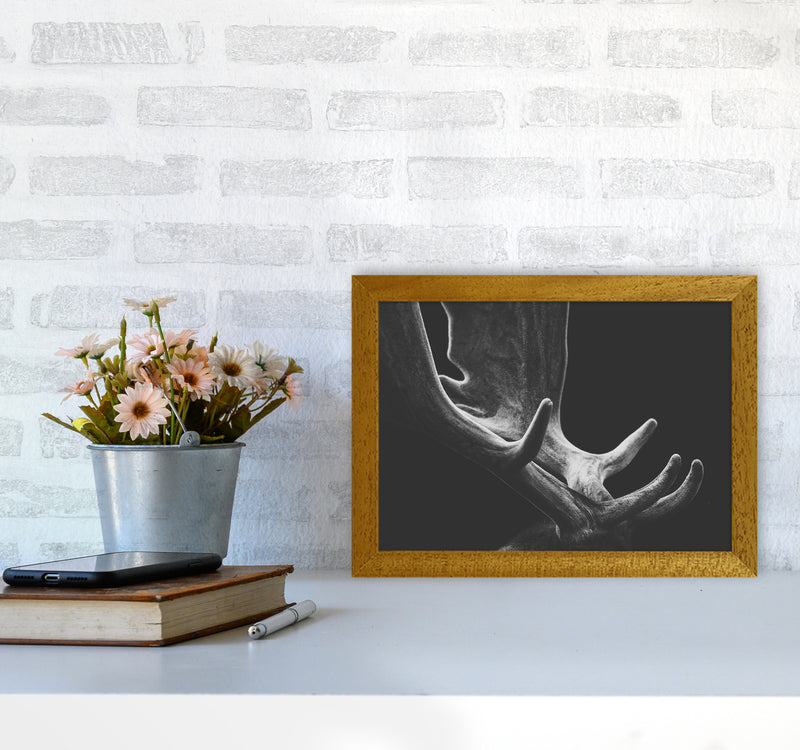 Antlers Photography Print by Victoria Frost A4 Print Only