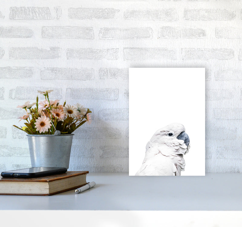 White Cockatoo Photography Print by Victoria Frost A4 Black Frame