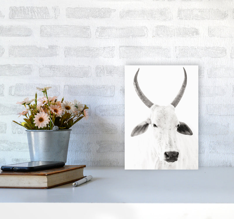 White Cow I Photography Print by Victoria Frost A4 Black Frame