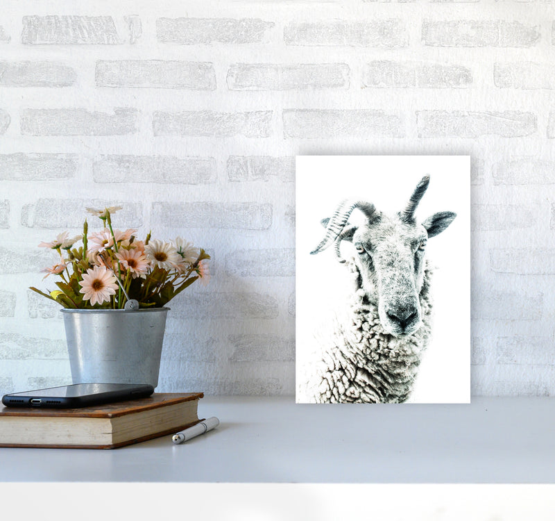 Sheep Photography Print by Victoria Frost A4 Black Frame