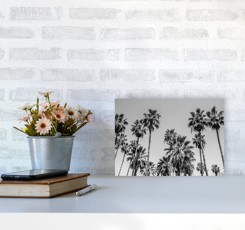 Sabal palmetto I Palm Trees Photography Print by Victoria Frost A4 Black Frame