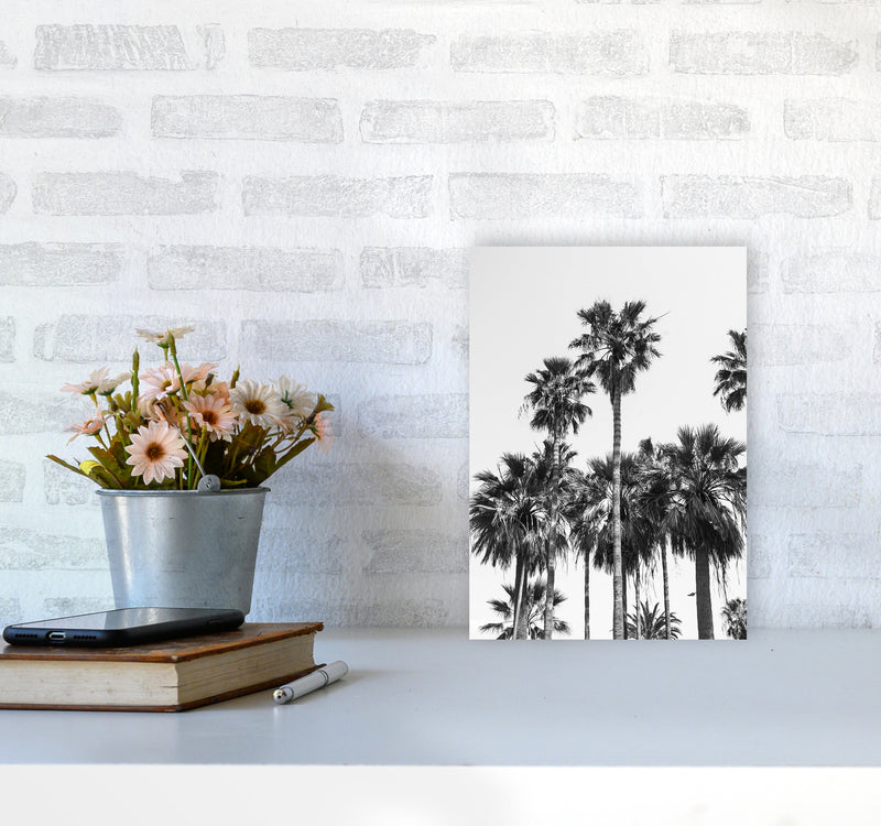 Sabal palmetto II Palm trees Photography Print by Victoria Frost A4 Black Frame