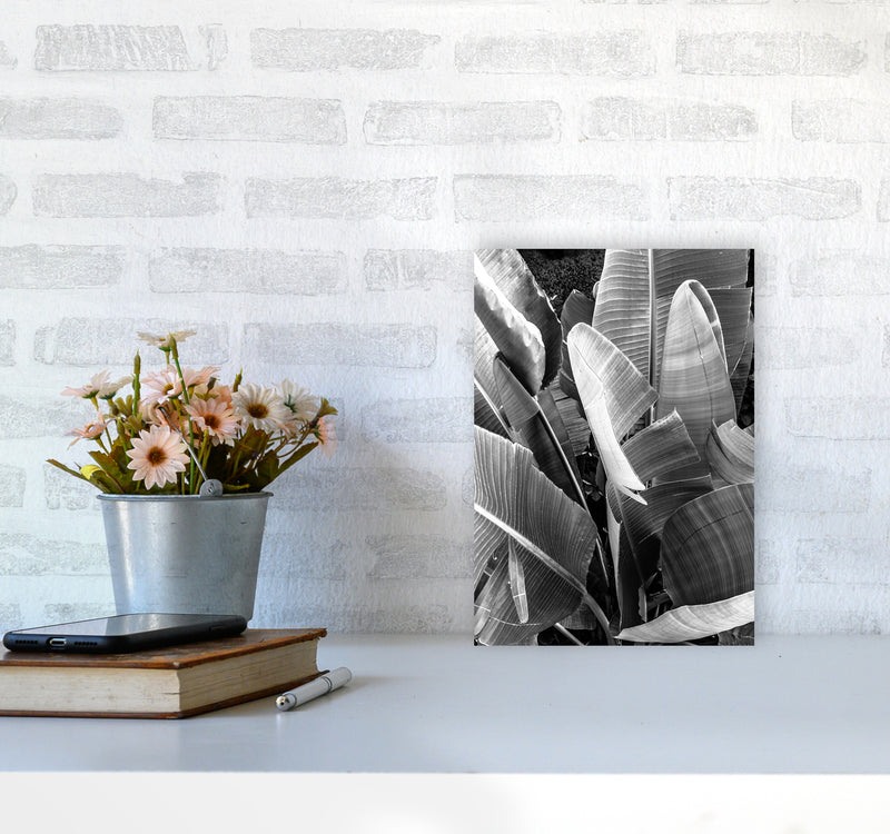 Palms Leafs Photography Print by Victoria Frost A4 Black Frame