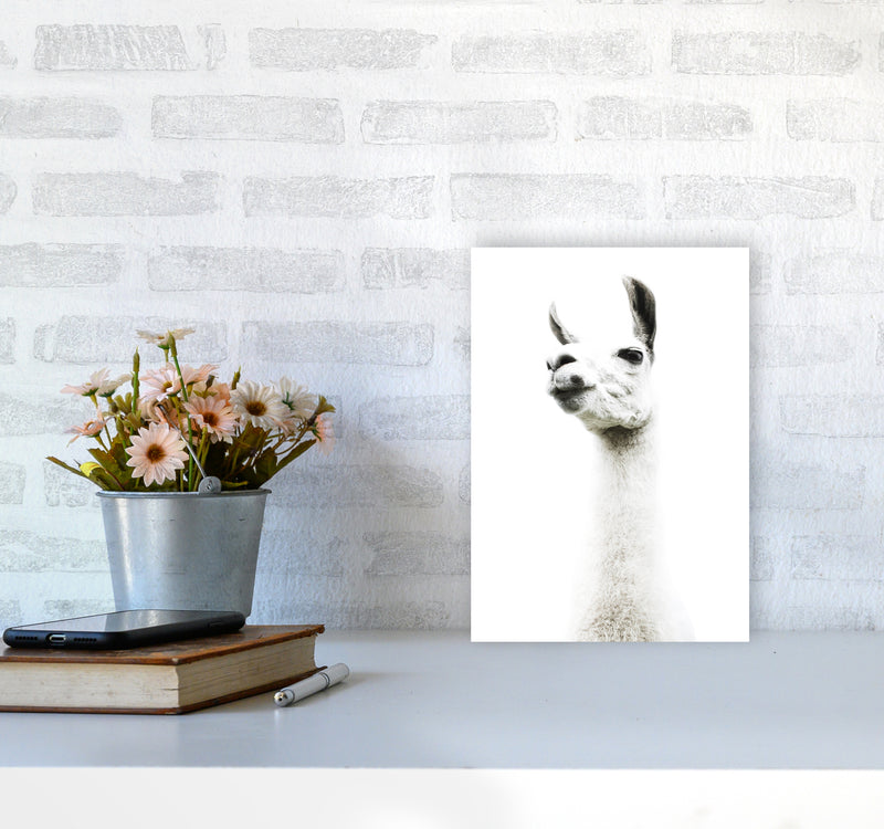 Llama II Photography Print by Victoria Frost A4 Black Frame