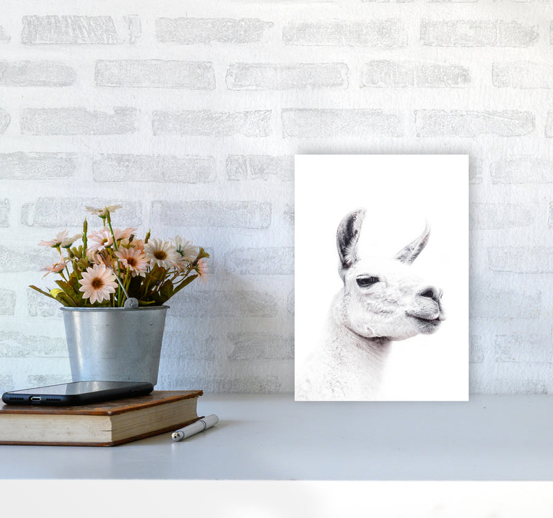 Llama I Photography Print by Victoria Frost A4 Black Frame