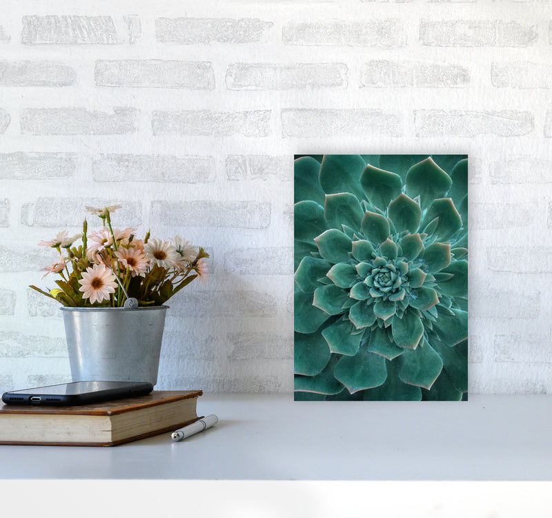 Green Succulent Plant Photography Print by Victoria Frost A4 Black Frame