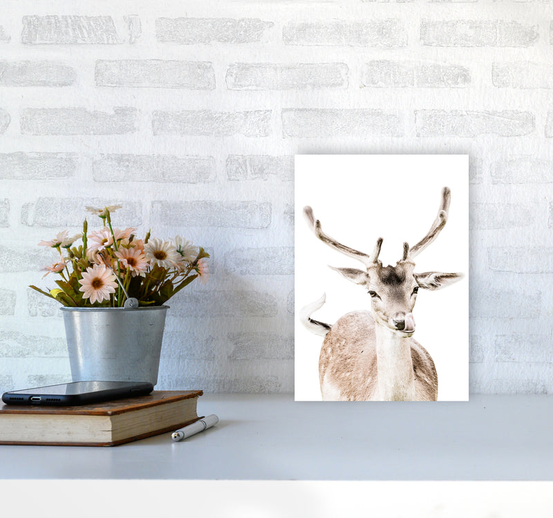 Deer I Photography Print by Victoria Frost A4 Black Frame