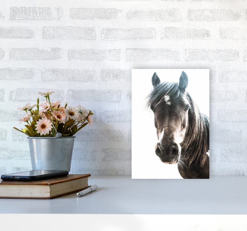 Brown Horse Photography Print by Victoria Frost A4 Black Frame