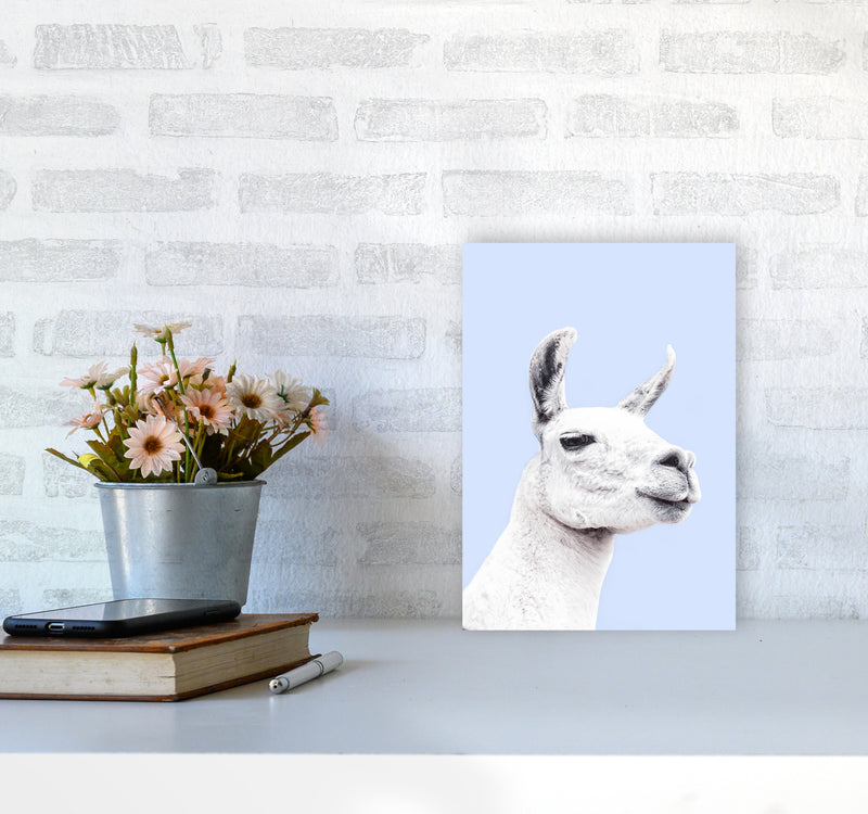 Blue Llama Photography Print by Victoria Frost A4 Black Frame