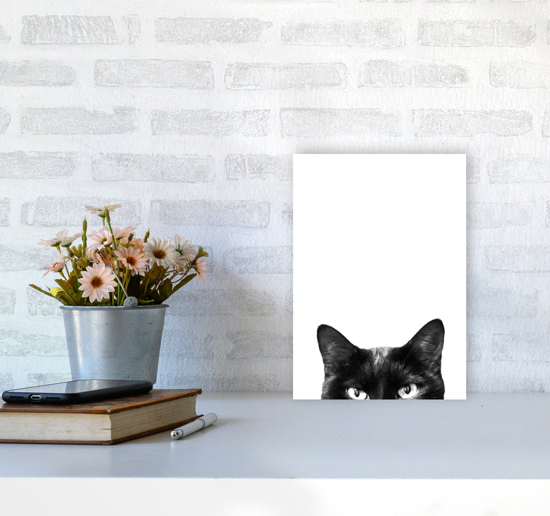 Black Cat Photography Print by Victoria Frost A4 Black Frame