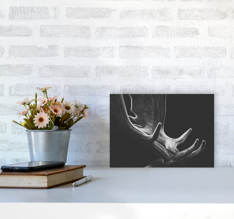 Antlers Photography Print by Victoria Frost A4 Black Frame