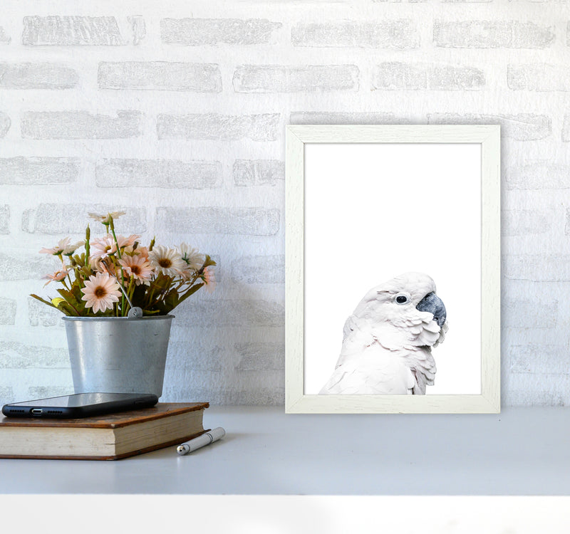 White Cockatoo Photography Print by Victoria Frost A4 Oak Frame