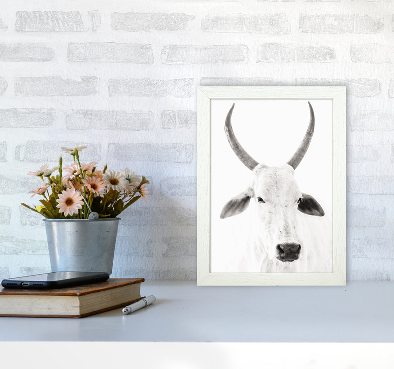 White Cow I Photography Print by Victoria Frost A4 Oak Frame