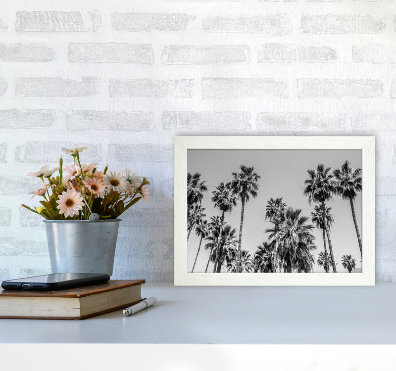 Sabal palmetto I Palm Trees Photography Print by Victoria Frost A4 Oak Frame