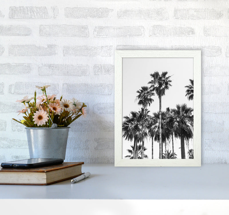 Sabal palmetto II Palm trees Photography Print by Victoria Frost A4 Oak Frame