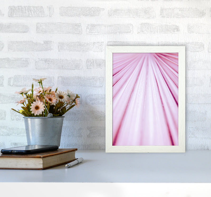 Pink Palm Leaf Photography Print by Victoria Frost A4 Oak Frame