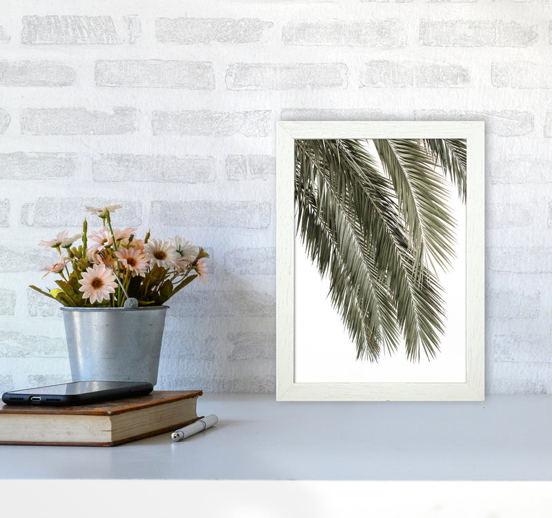 Palms Photography Print by Victoria Frost A4 Oak Frame