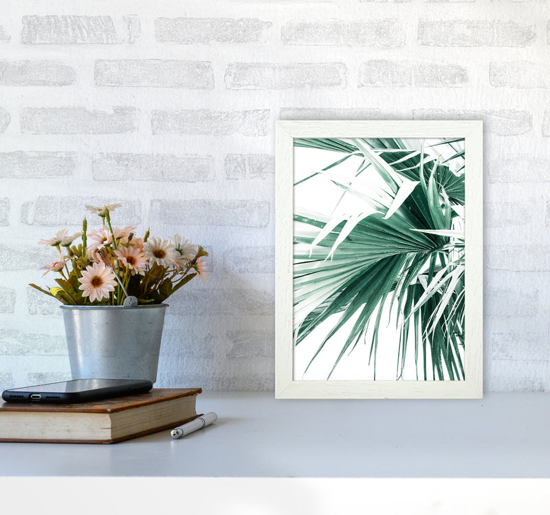 Palm Leaves Photography Print by Victoria Frost A4 Oak Frame