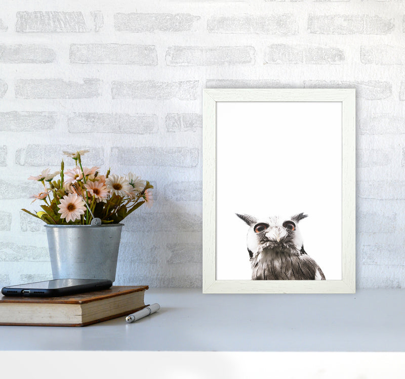 Lil Owl Photography Print by Victoria Frost A4 Oak Frame