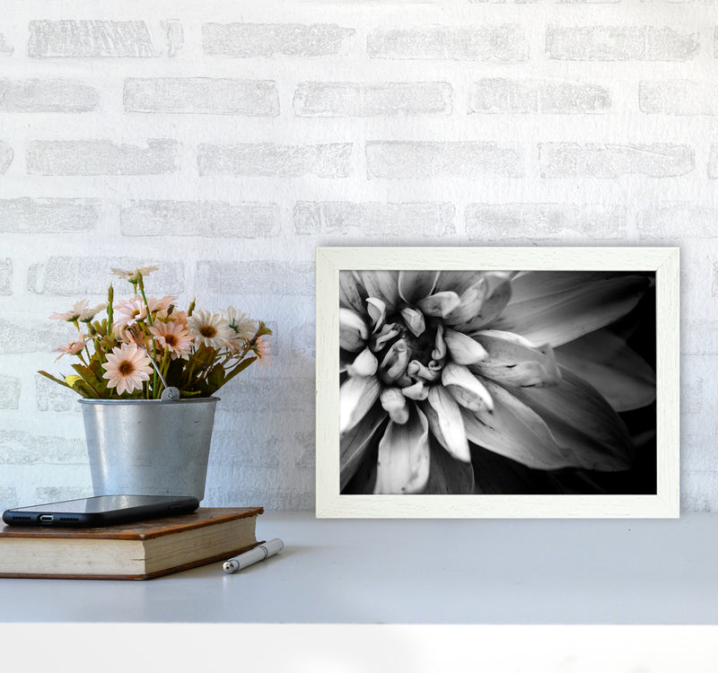 Flower Petals I  Photography Print by Victoria Frost A4 Oak Frame