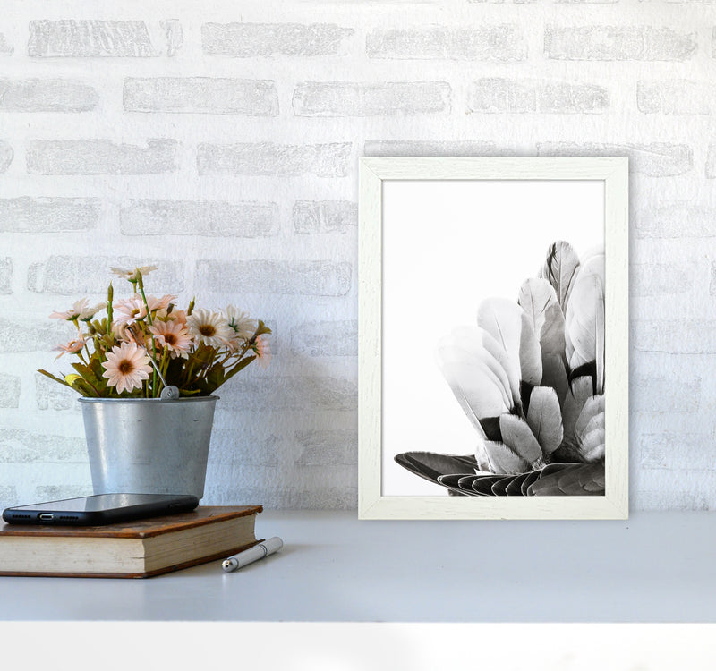 Feathers Photography Print by Victoria Frost A4 Oak Frame