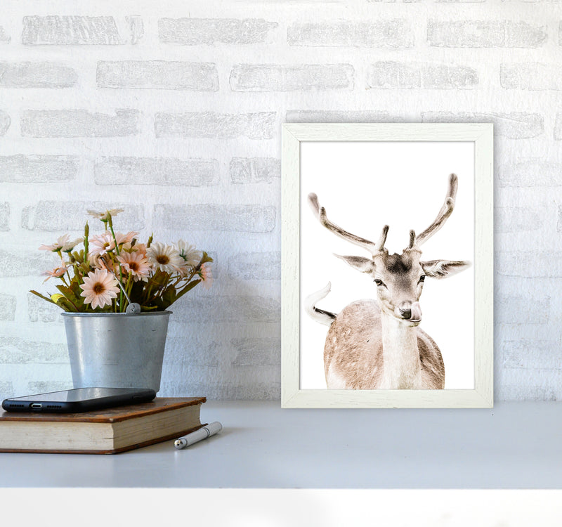 Deer I Photography Print by Victoria Frost A4 Oak Frame