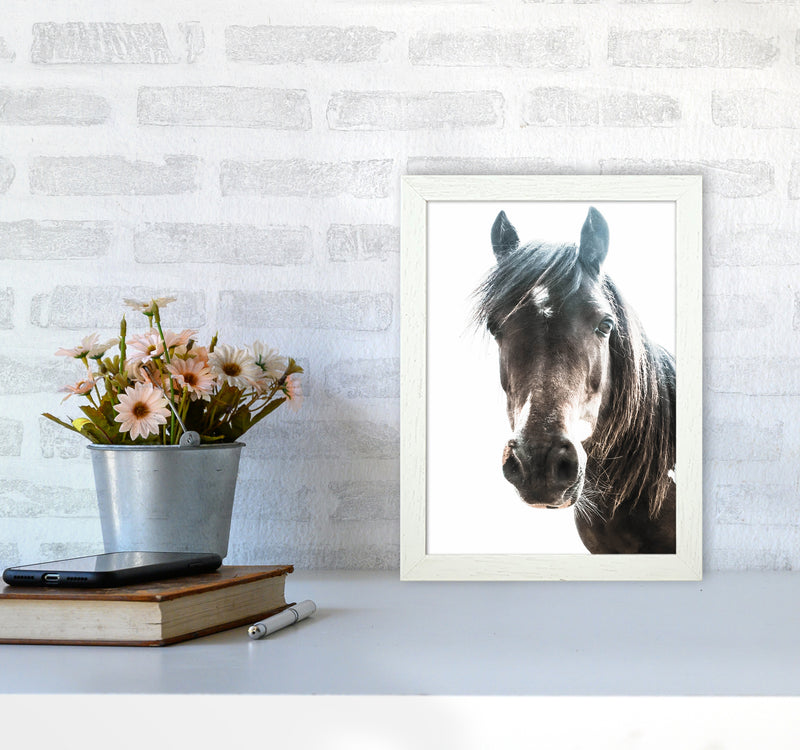 Brown Horse Photography Print by Victoria Frost A4 Oak Frame