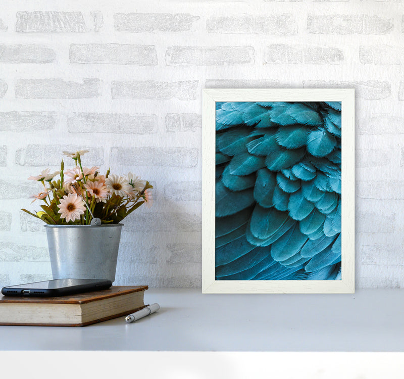 Blue Feathers Photography Print by Victoria Frost A4 Oak Frame