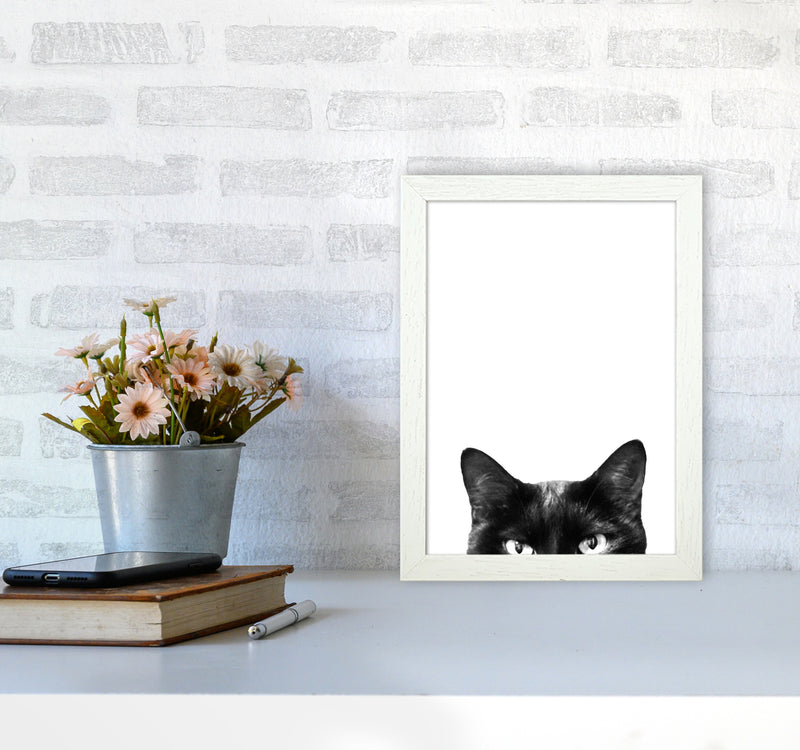 Black Cat Photography Print by Victoria Frost A4 Oak Frame
