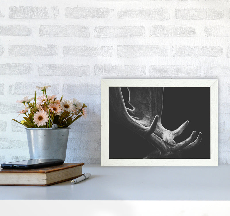 Antlers Photography Print by Victoria Frost A4 Oak Frame
