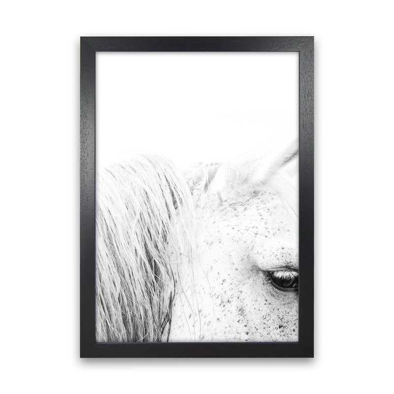 White Horse II Photography Print by Victoria Frost Black Grain