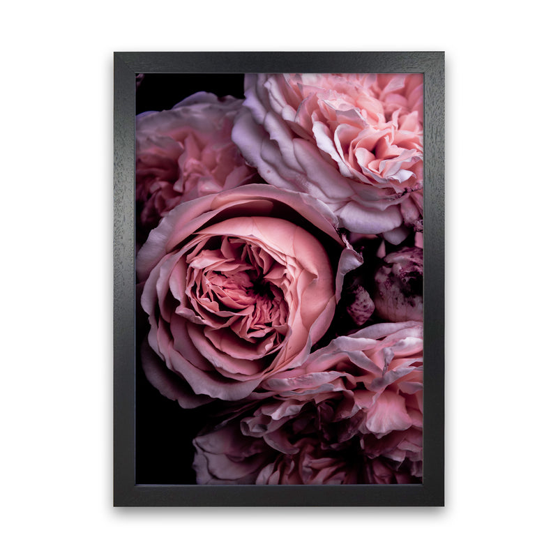 Vintage Pink Photography Print by Victoria Frost Black Grain