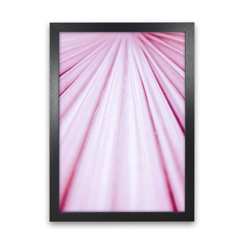 Pink Palm Leaf Photography Print by Victoria Frost Black Grain