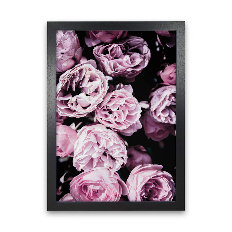 Pink Flowers II Photography Print by Victoria Frost Black Grain