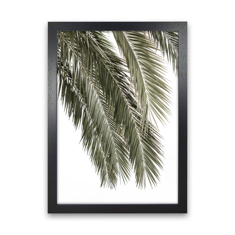 Palms Photography Print by Victoria Frost Black Grain