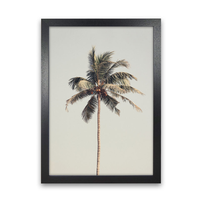 Palm tree by the beach Photography Print by Victoria Frost Black Grain