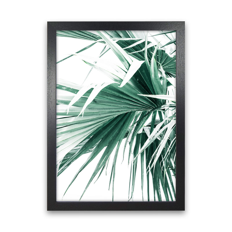 Palm Leaves Photography Print by Victoria Frost Black Grain