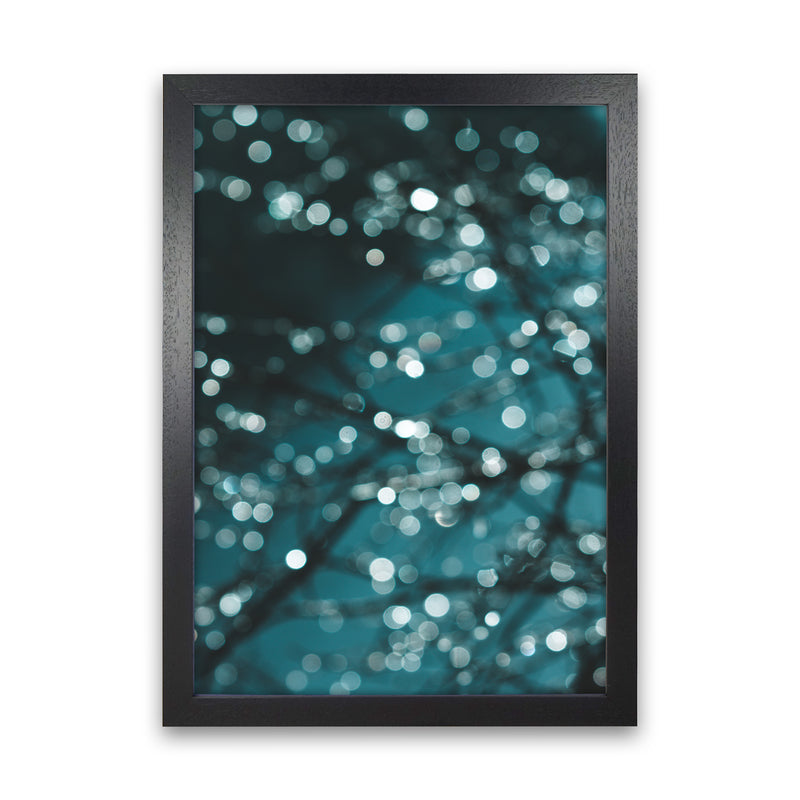 Midnight Sparkle Photography Print by Victoria Frost Black Grain