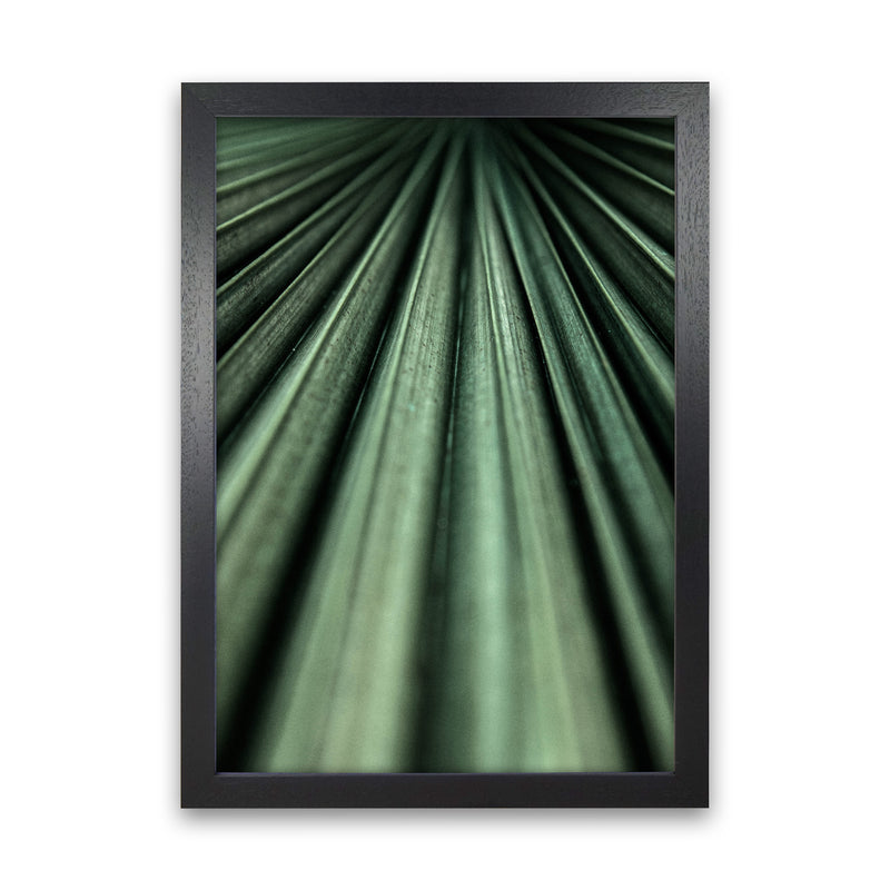 Green Palm Leaf Photography Print by Victoria Frost Black Grain