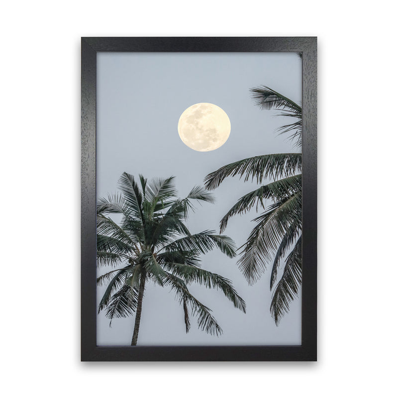 Full Moon Photography Print by Victoria Frost Black Grain
