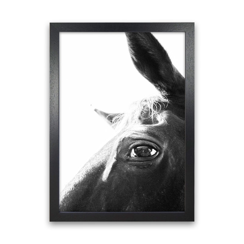 Eye of the beholder Photography Print by Victoria Frost Black Grain