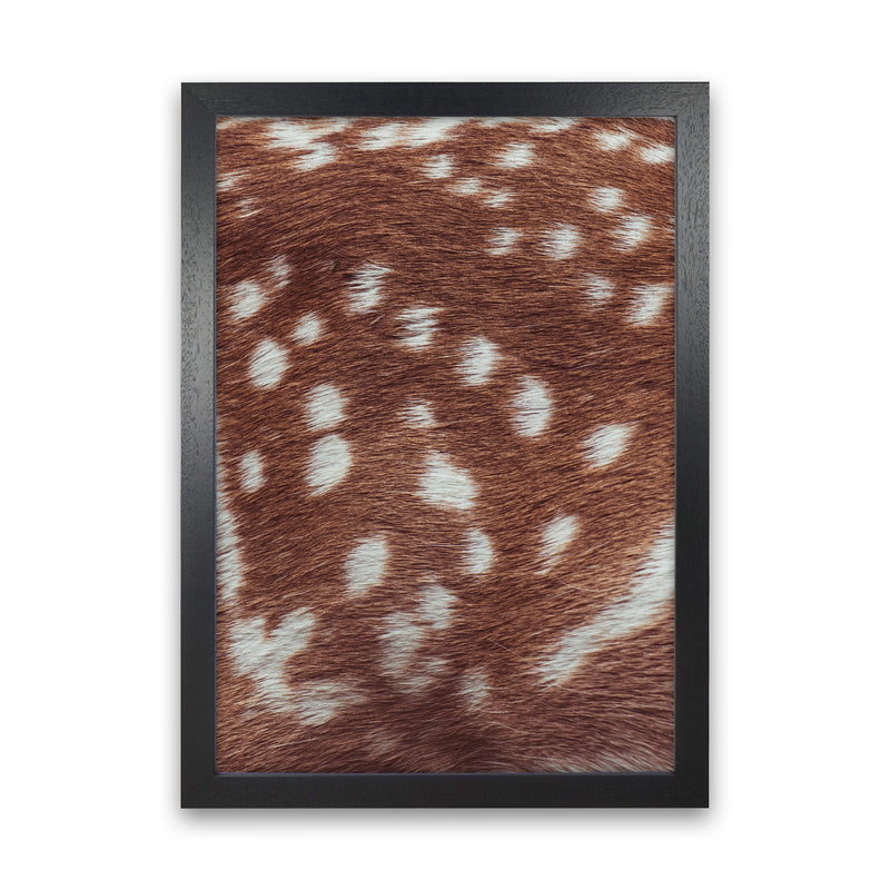 Deer skin Photography Print by Victoria Frost Black Grain