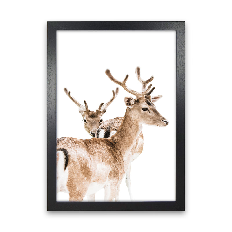 Deers II Photography Print by Victoria Frost Black Grain