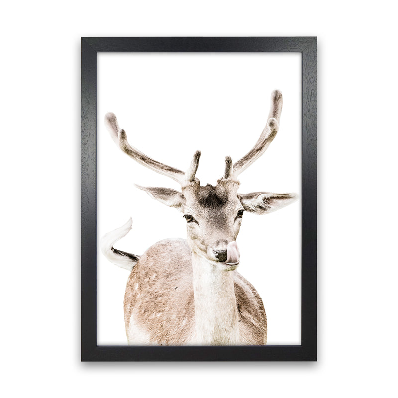 Deer I Photography Print by Victoria Frost Black Grain